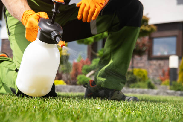 Best Wasp Removal Services  in Hartford, SD