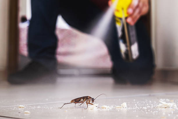 Best Exterminator Services  in Hartford, SD