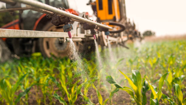 Reliable Hartford, SD Pest Control Solutions